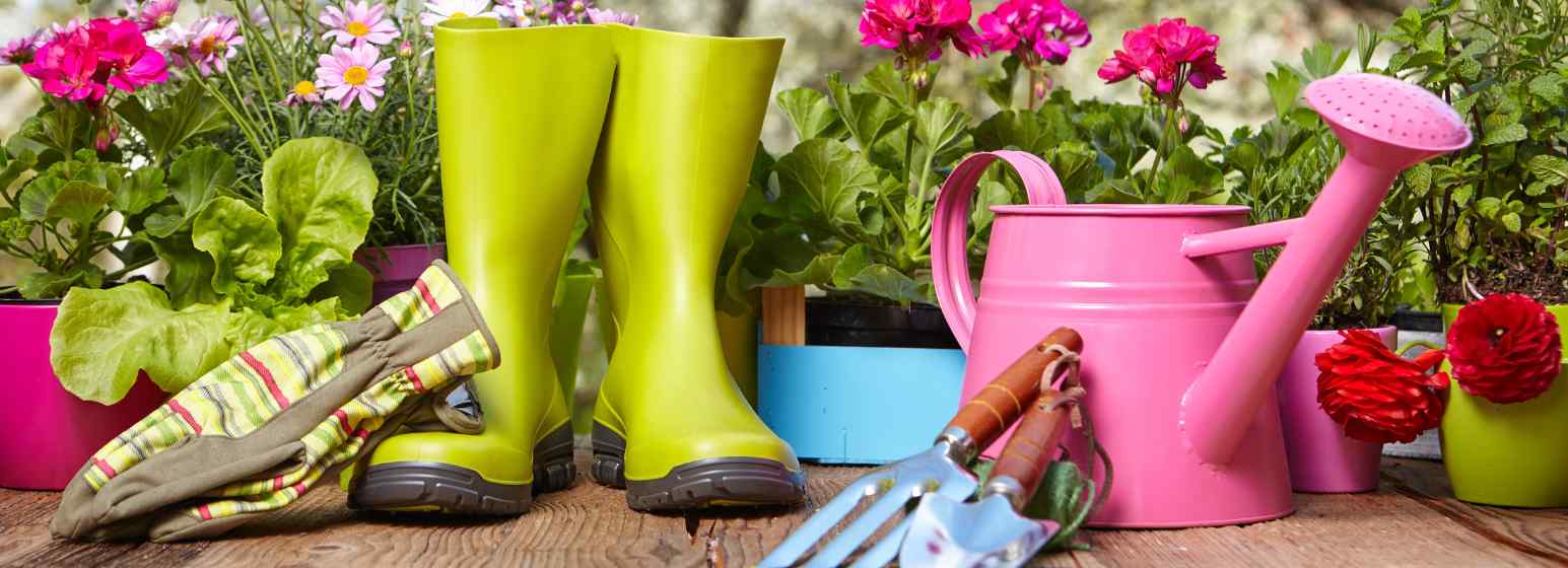 Colorful garden flowers, tools, and a watering can