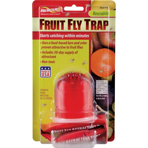 RESCUE NonToxic Fruit Fly Trap City Mill