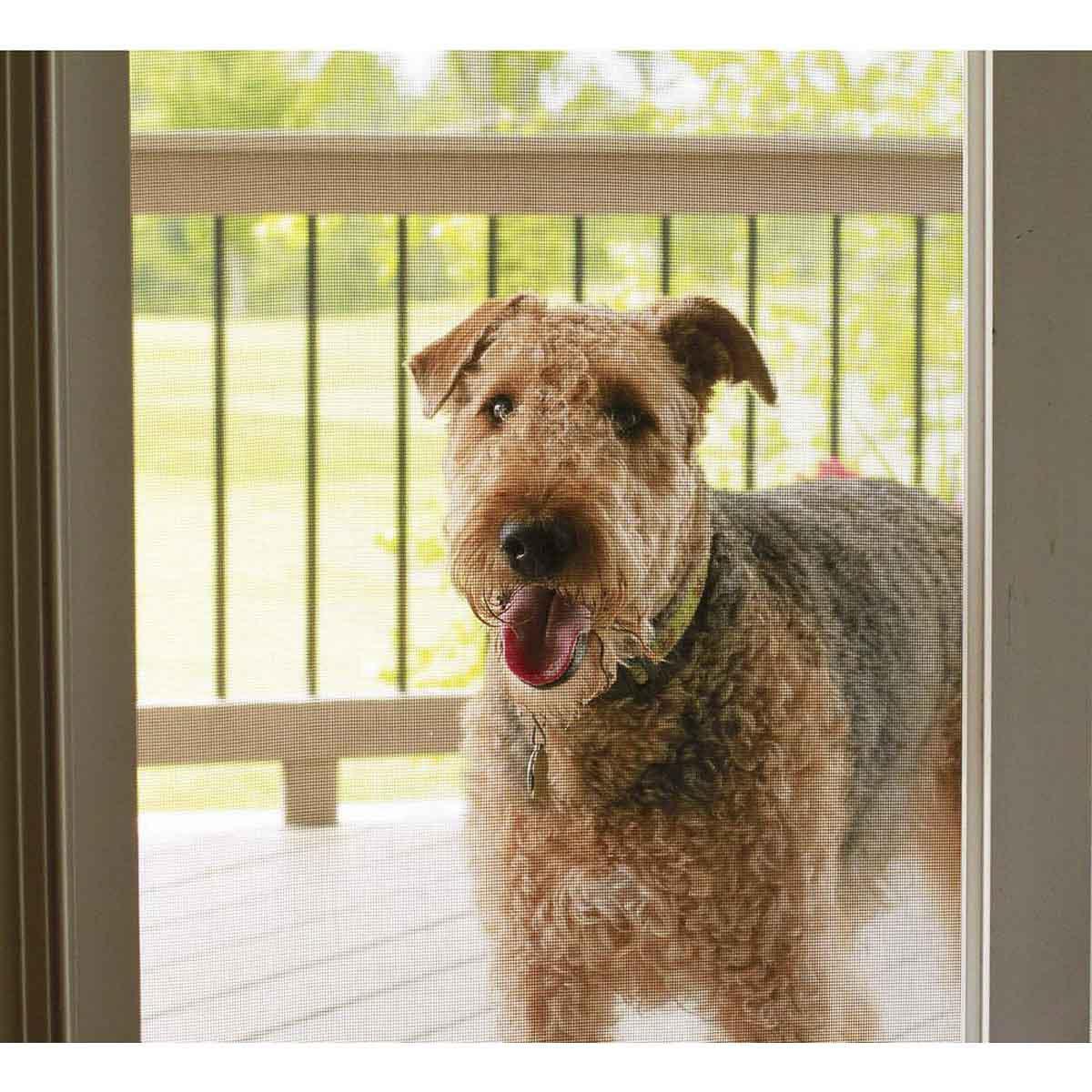 ADFORS 36 in. Wide Polyester Pet Resistant Window Screen, Charcoal
