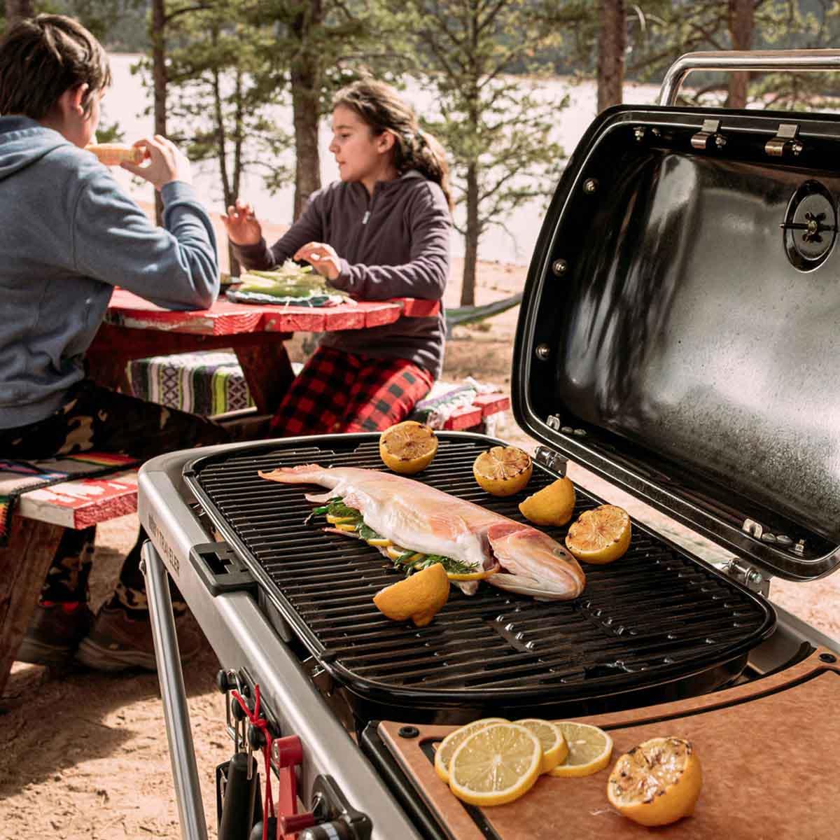 Weber Traveler Portable Fold Down Gas Grill City Mill