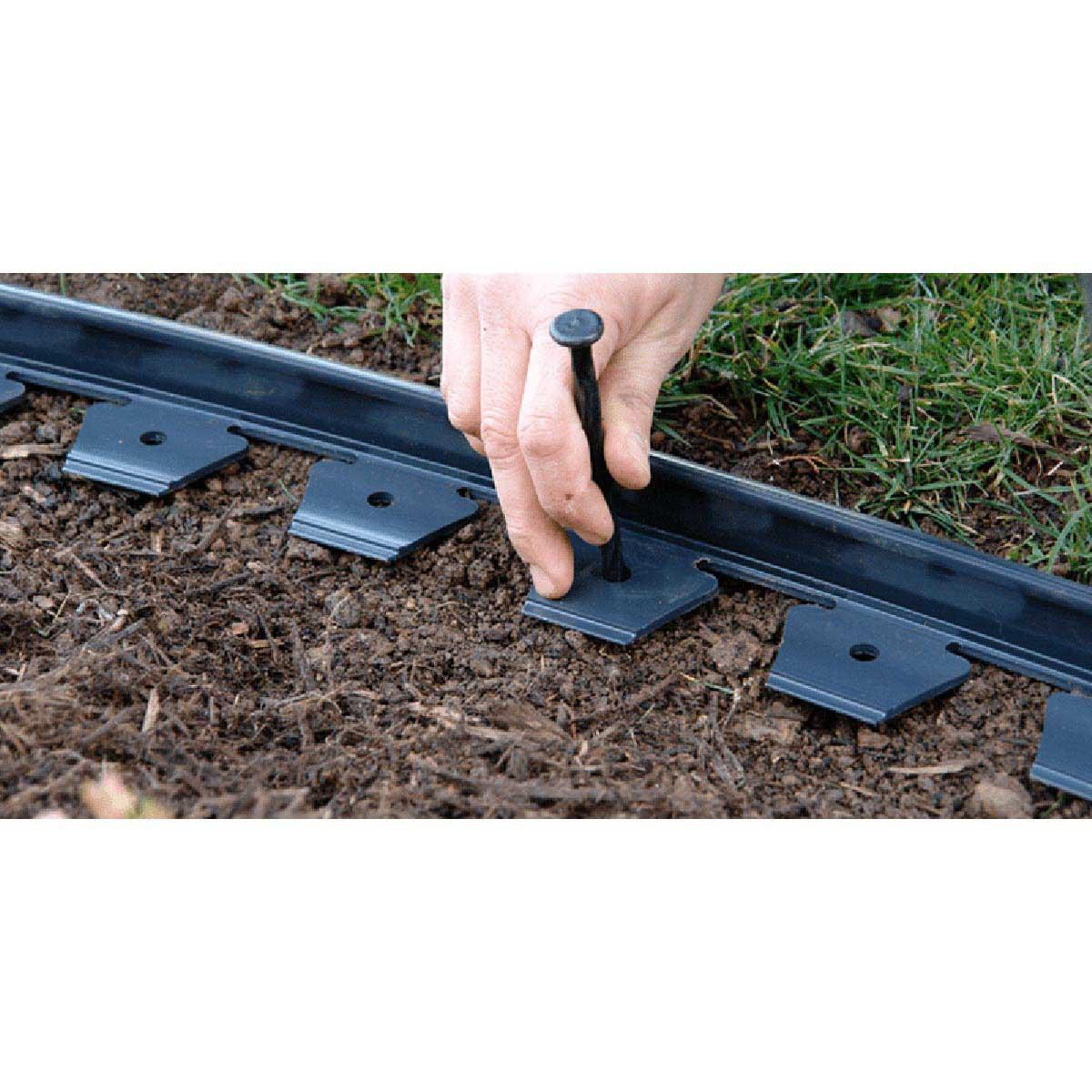 digne ノーカラージレ DIGNA Classic 995E Jimmy Titan Nose Pads Color Lens