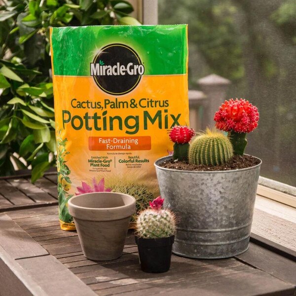 MiracleGro Cactus, Palm & Citrus Potting Mix City Mill