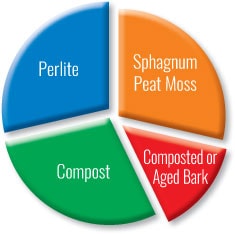 ingredients breakdown