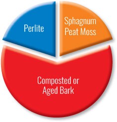 Ingredients breakdown